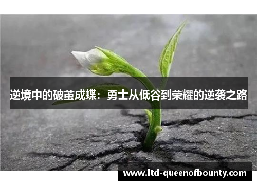 逆境中的破茧成蝶：勇士从低谷到荣耀的逆袭之路