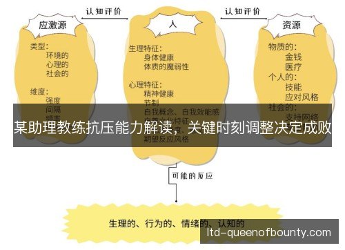 某助理教练抗压能力解读，关键时刻调整决定成败